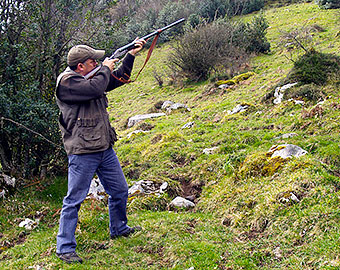 Big Game hunting (wild boar and chamois), in the Aramo  mountains. 